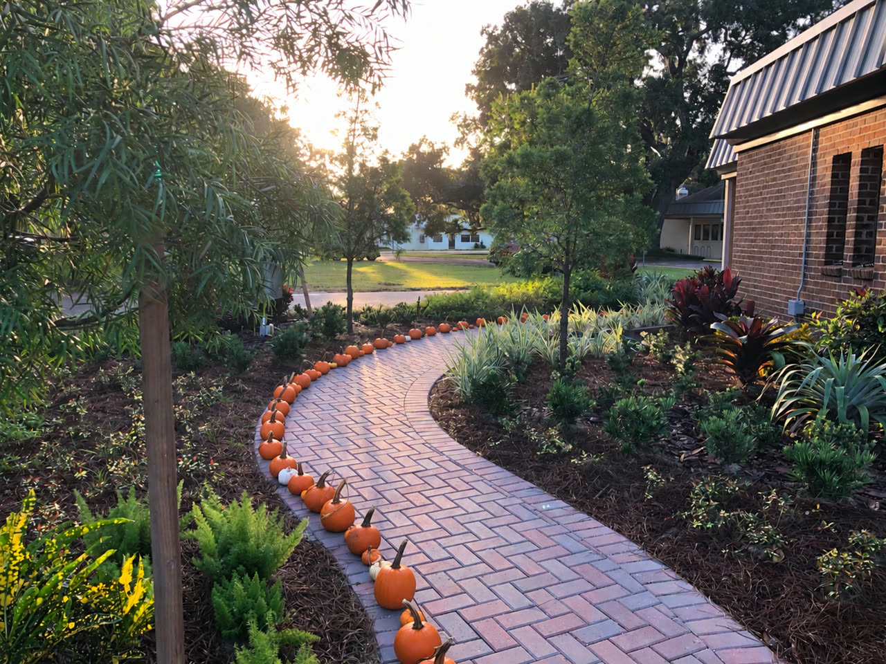 Curving brick garden path lined with pumpkins in warm evening light